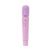 Charmer 2 Speed Massager Purple